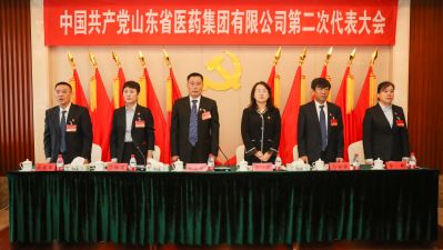 中国ag捕鱼王3d有限公司第二次代表大会关于中共ag捕鱼王3d委员会工作报告的决议